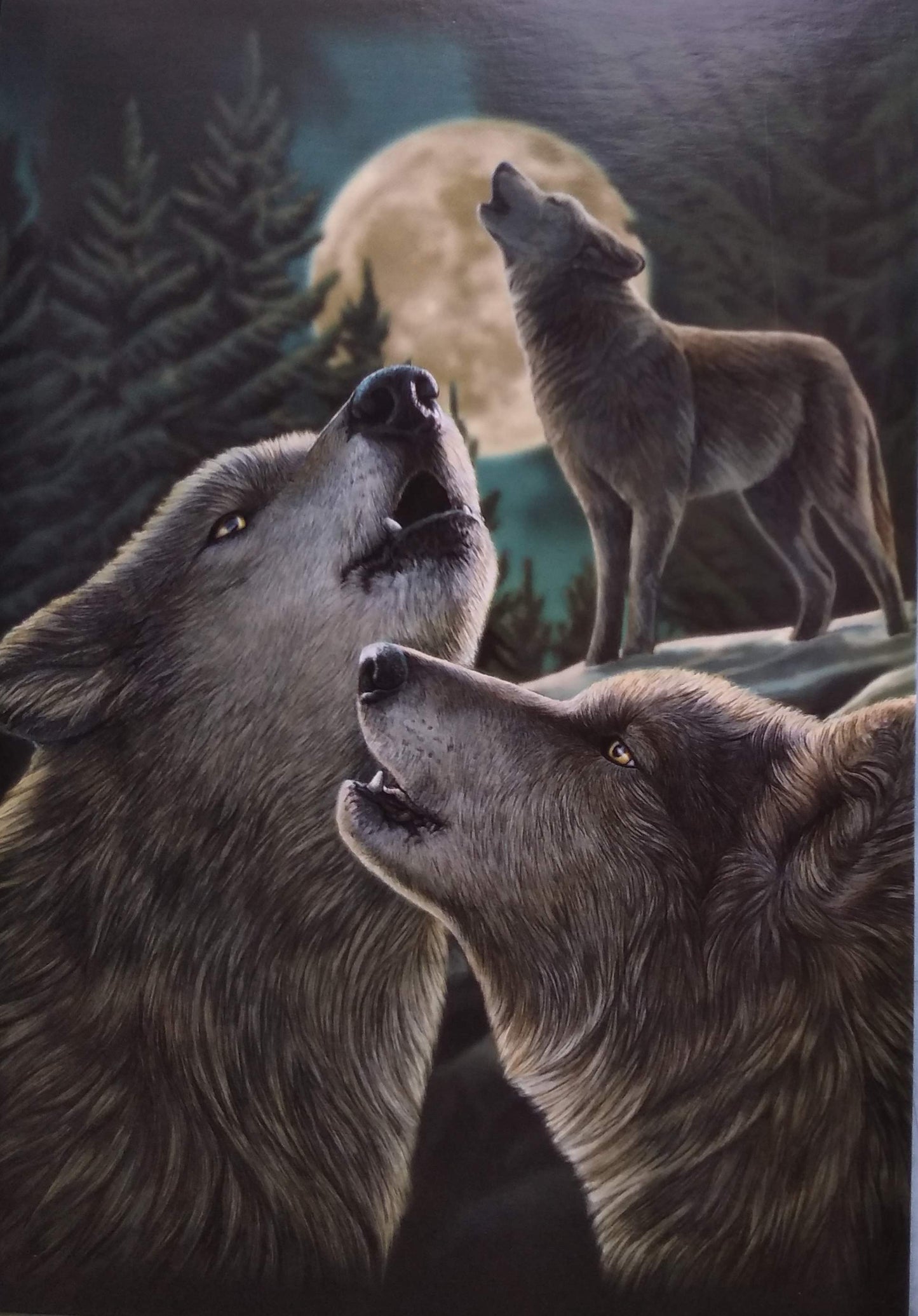 Wolf Song Lisa Parker Artwork Greeting Card