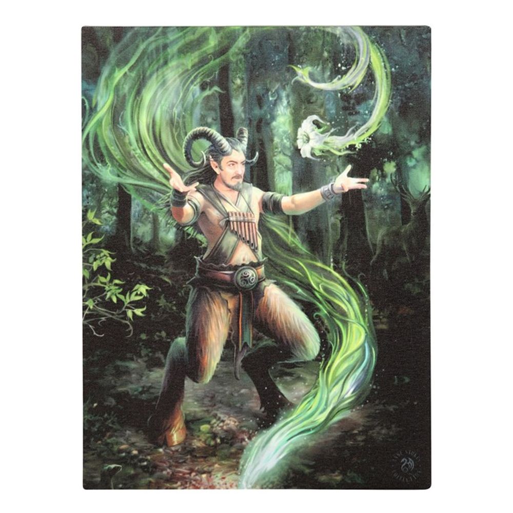 Earth Element Wizard Canvas Plaque by Anne Stokes