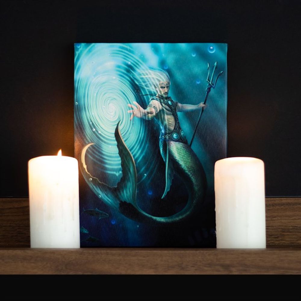 Water Element Wizard Canvas Plaque by Anne Stokes