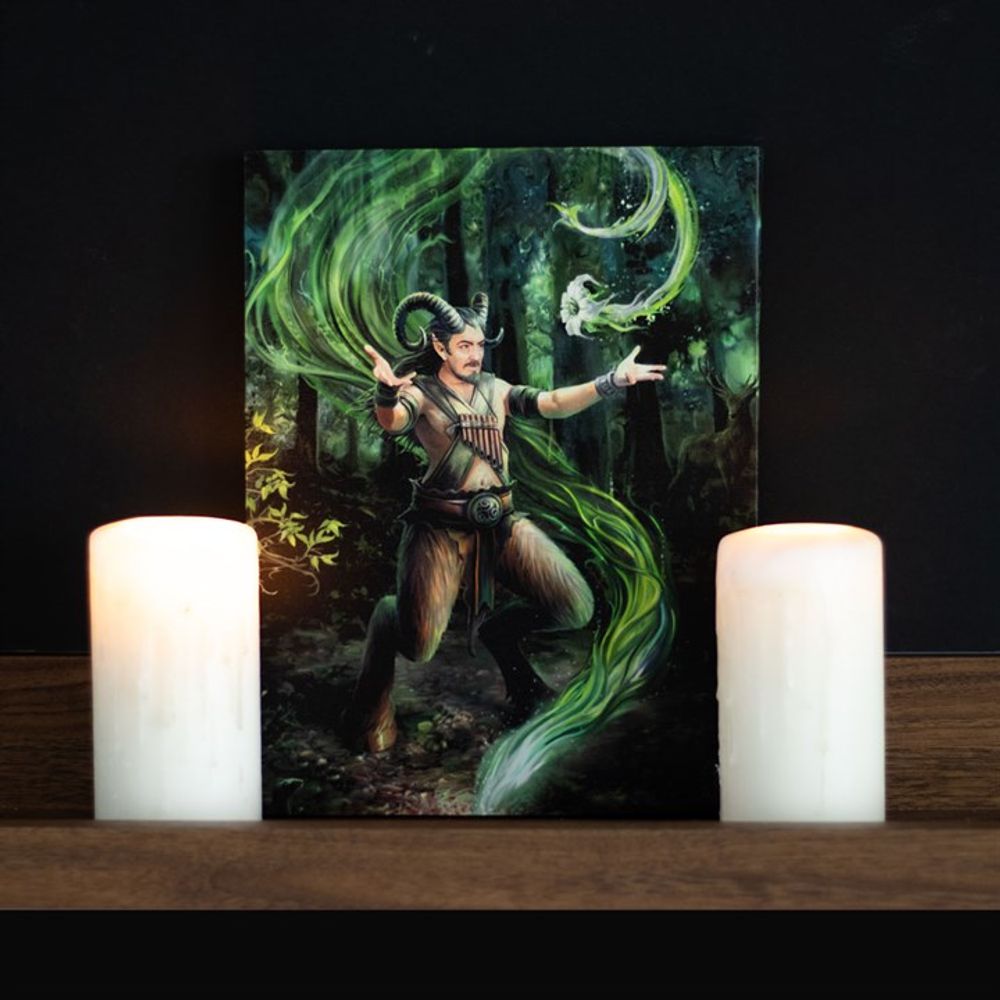 Earth Element Wizard Canvas Plaque by Anne Stokes