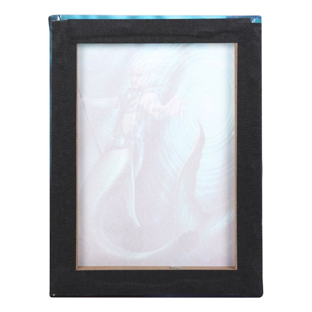 Water Element Wizard Canvas Plaque by Anne Stokes