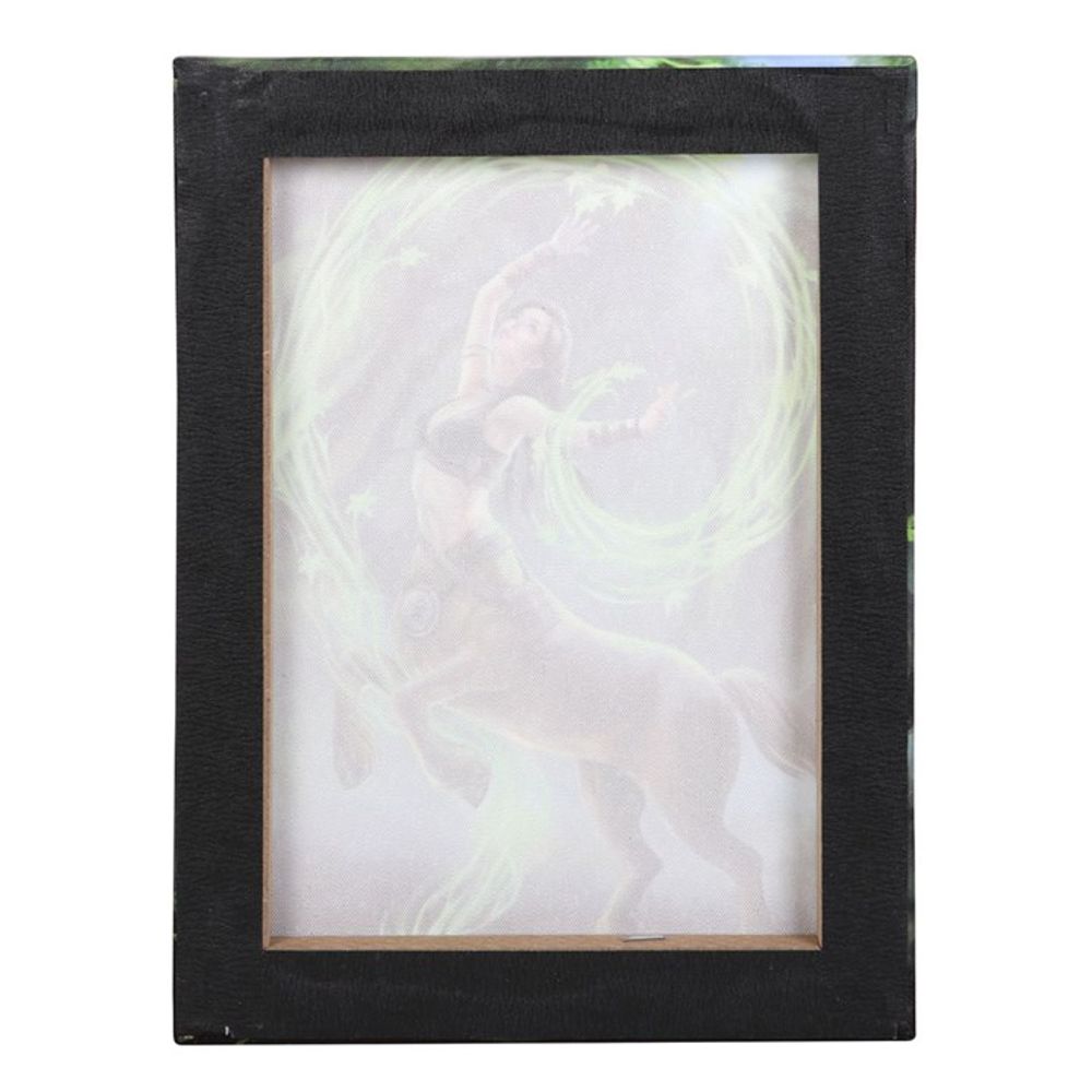 Earth Element Sorceress Canvas Plaque by Anne Stokes